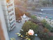 3 BHK Apartment in Sector 5 Dwarka for rent New Delhi....