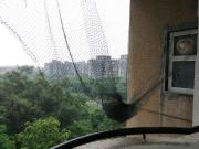 3 BHK Apartment in Sector 5 Dwarka for resale South West...