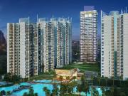 3 BHK Apartment in Nurpur Jharsa for resale Sohna Road....