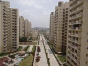 3 BHK Apartment in Sector 72 for rent Gurgaon. The...