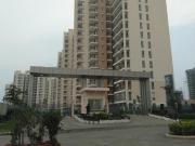 3 BHK Apartment in Sector 79 for resale New Gurgaon. The...