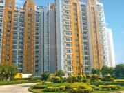 3 BHK Apartment in Sector 82 for rent Faridabad. The...