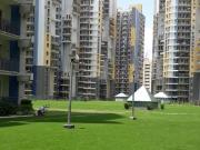 3 BHK Apartment in Sector 84 for resale Dwarka...