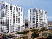 3 BHK Apartment in Sewri for rent Mumbai. The reference...
