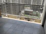 3 BHK Apartment in Shela for rent Ahmedabad. The...