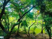 3 BHK Apartment in Sheshadripuram for rent Bangalore....