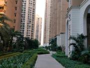 3 BHK Apartment in Siddharth Vihar for rent Ghaziabad....