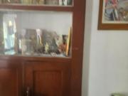 3 BHK Apartment in South Dum Dum for resale Kolkata. The...