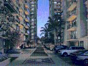 3 BHK Apartment in Sultanpur Road for resale Lucknow....