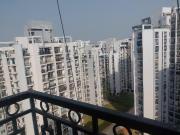 3 BHK Apartment in Sushant Golf City for rent Lucknow....