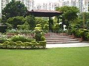 3 BHK Apartment in Sushant Lok Phase 1 for rent Gurgaon....