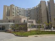 3 BHK Apartment in Tathawade for rent Pune. The...