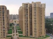 3 BHK Apartment in Thanisandra for rent Bangalore. The...