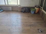 3 BHK Apartment in Ulwe for rent Navi Mumbai. The...