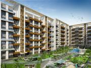 3 BHK Apartment in Undri for resale Pune. The reference...