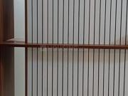 3 BHK Apartment in Uttarahalli Manavarthekaval for rent...