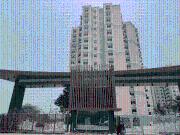 3 BHK Apartment in Uttarahalli Manavarthekaval for...