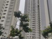 3 BHK Apartment in V. Kallahalli for rent Bangalore. The...