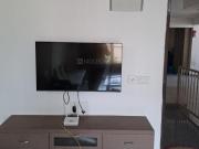 3 BHK Apartment in Vaishno Devi Circle for rent...