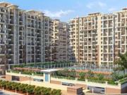 3 BHK Apartment in Wagholi for rent Pune. The reference...