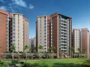 3 BHK Apartment in Wakad for rent Pune. The reference...
