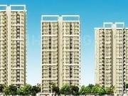 3 BHK Apartment in Wave City for rent Ghaziabad. The...