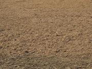 3 BHK Farm House in Anangpur Village for resale...