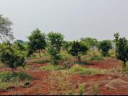 3 BHK Farm House in Jadcherla for resale Hyderabad. The...