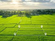 3 BHK Farm House in Patel Nagar for resale Bhopal. The...