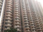 3 BHK Flat In 14 Avenue 3d Block for Rent In Gaur City 2