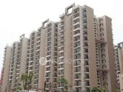 3 BHK Flat In Amrapali Golf Homes for Rent In Sector 4