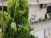 3 BHK Flat In Dda Flats for Rent In Paschim Vihar