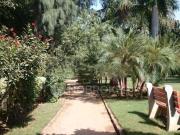 3 BHK Flat In Dlf Exclusive Floors Owners Society for Rent