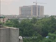 3 BHK Flat In Jahaz Apartments for Rent In Paschim Vihar