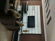 3 BHK Flat In Jain Heights Avalon for Rent In Avalon...