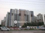 3 BHK Flat In Lotus Boulevard for Rent In Sector 100