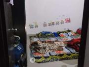 3 BHK Flat In Manglam Regency for Rent In Sector 21d