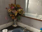 3 BHK Flat In Ngv National Games Village for Rent In...