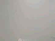 3 BHK Flat In Rajouri Garden for Rent In Rajouri Garden