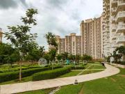 3 BHK Flat In Regal Gardens for Rent In Sector 90