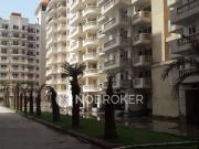 3 BHK Flat In Royal Heritage for Rent In Sector 70