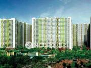 3 BHK Flat In Runwal Mycity Blossom City for Rent In Dombiv