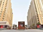 3 BHK Flat In Saya Zion for Rent In Sector 4