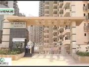 3 BHK Flat In Sharing Room For Female In 3bhk Gaur City 2, 1