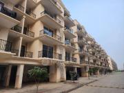 3 BHK Flat In Signature Global Park 4 And 5 for Rent In Soh