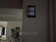 3 BHK Flat In Signature Global Park 4 And 5, Sohna For...