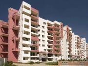 3 BHK Flat In Sjr Spencer for Rent In Marathahalli