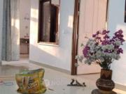 3 BHK Flat In Ss The Coralwood for Rent In Sector 84