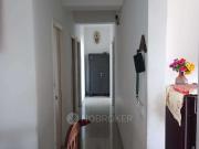 3 BHK Flat In Stellar One Phase Iii for Rent In Sector 1