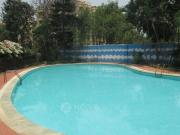 3 BHK Flat In Vanshee Rich Fields for Rent In Marathahalli